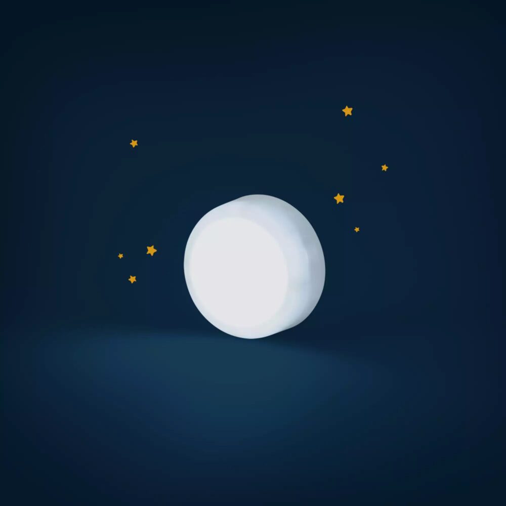 PELUCHE LEON MARINO LUMINOSO LA AVENTURA DE PAULIE MOULIN ROTY