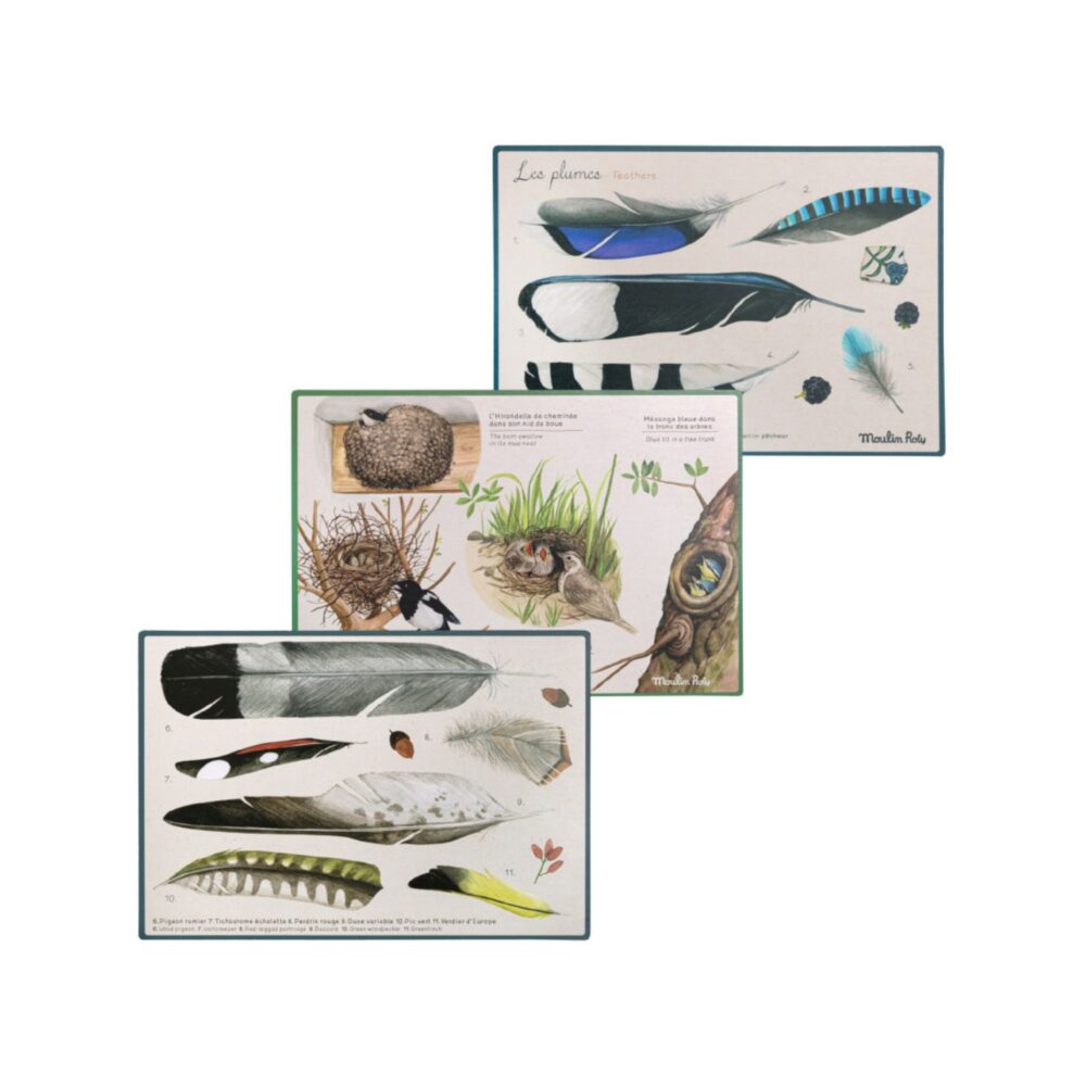 CAJA DESCUBRE LOS PÁJAROS EN FRANCÉS