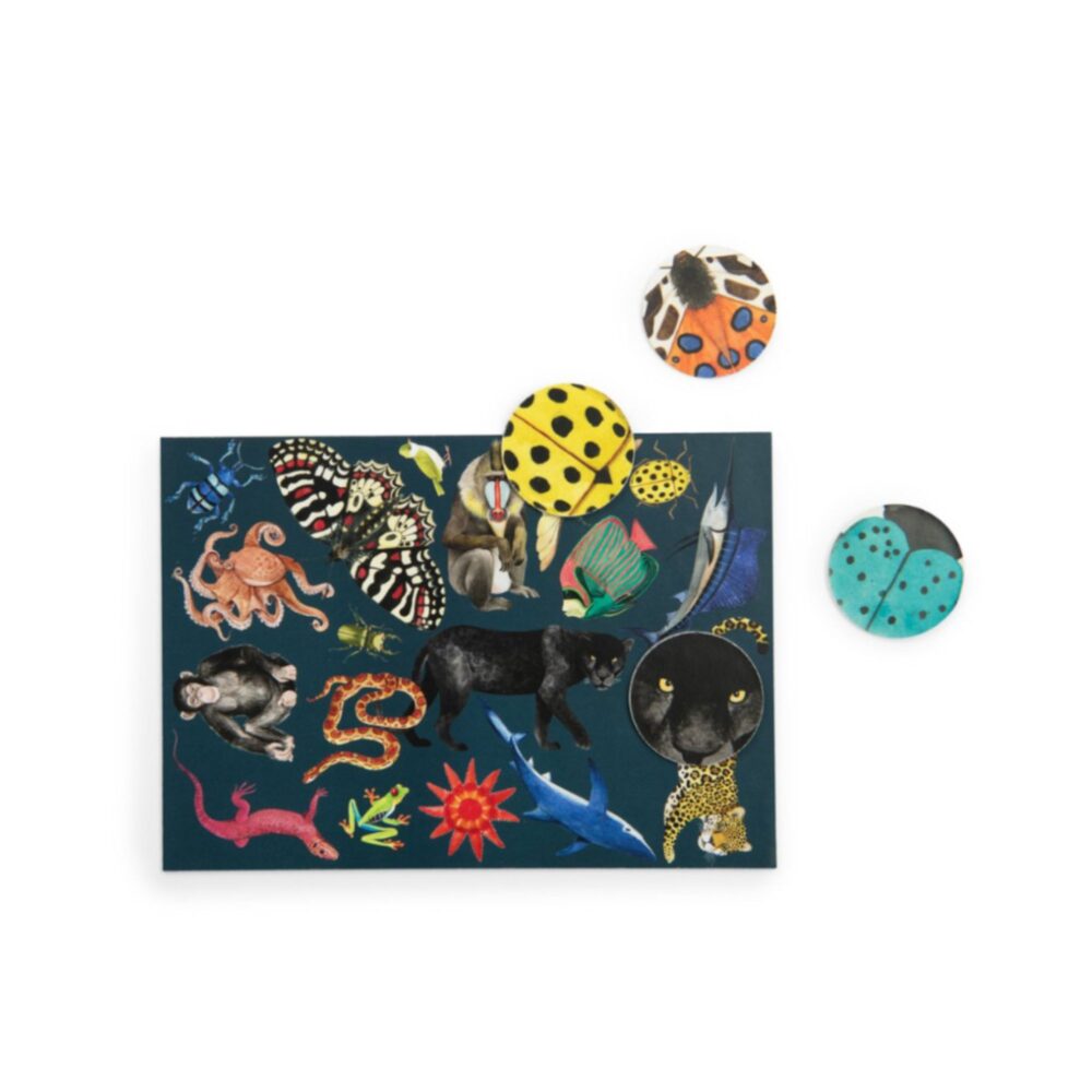 JUEGO BUSCA Y ENCUENTRA TOUT AUTOUR DU MONDE