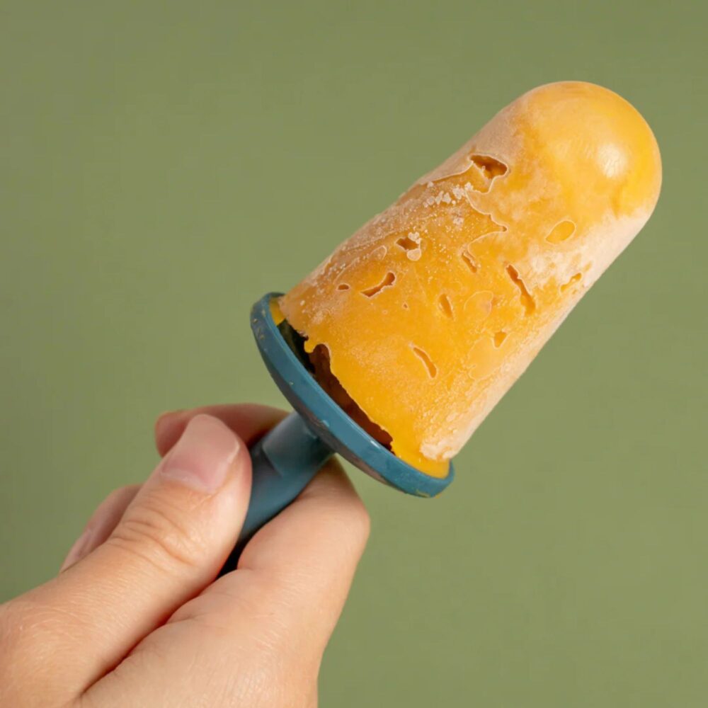 MOLDE DE HELADO MUNAI