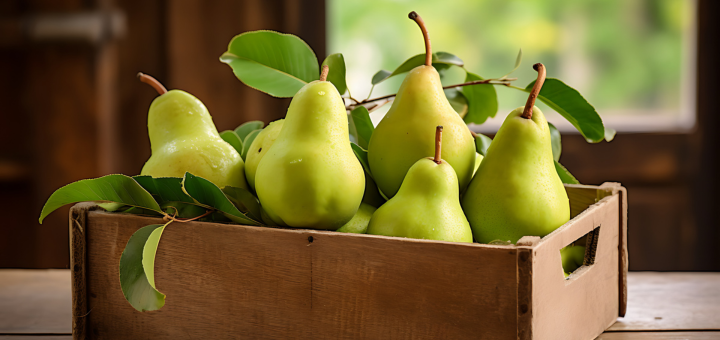 Pure de Melón y Pera