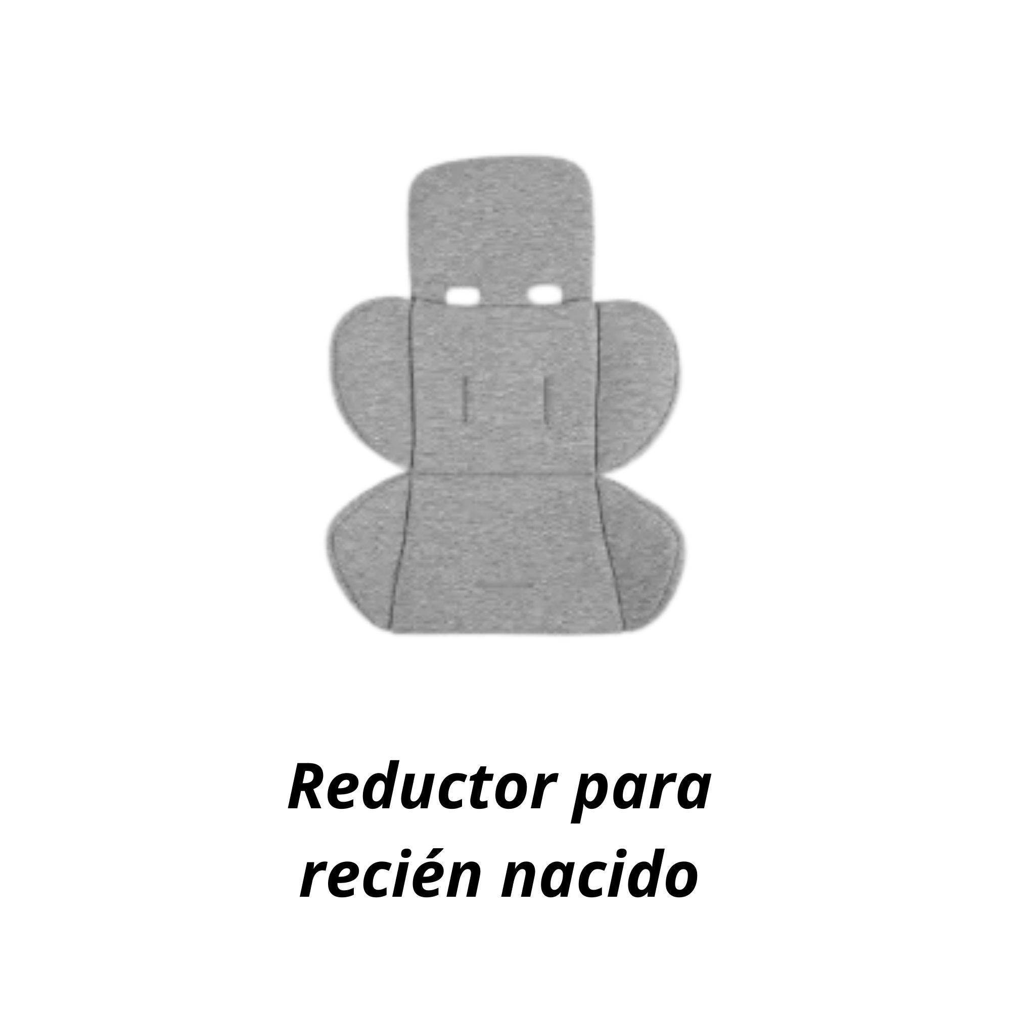 COCHE MODELO CRUZ V3 UPPABABY