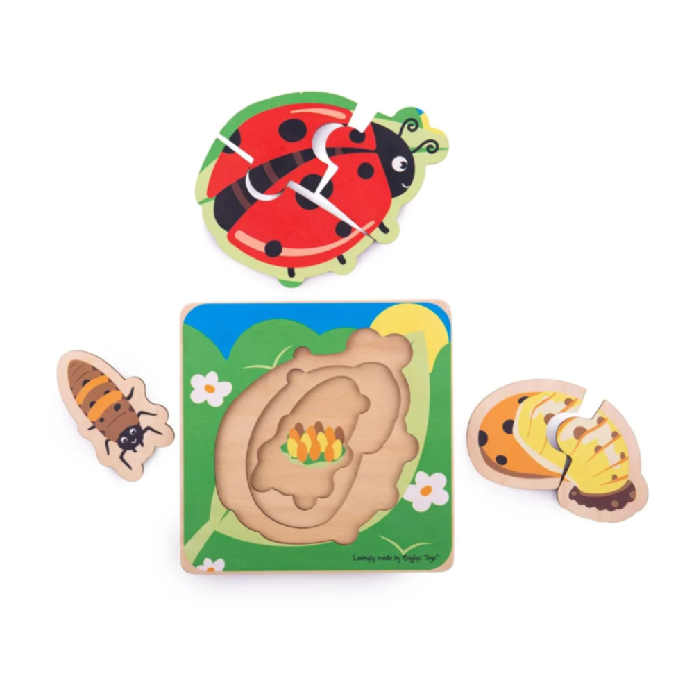 Rompecabeza Mariquita Ciclo de Vida - Muyutoys