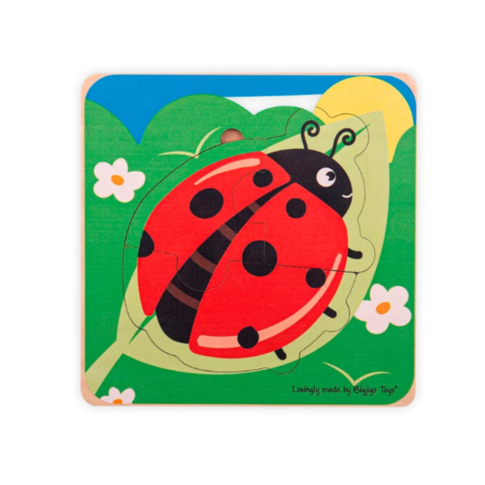 Rompecabeza Mariquita Ciclo de Vida - Muyutoys